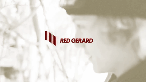 Not Just Another Superhero Movie 🐾