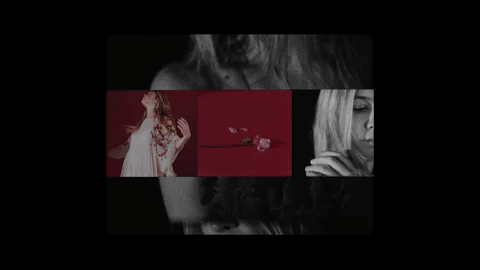 Stationhead, Our Favorite New Music Tech Company!