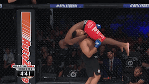 We’re Big MMA Fans